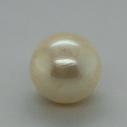 Pearl  (Moti) 6.27 Ct Good Quality
